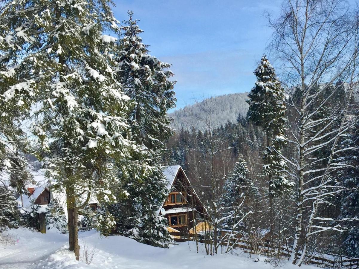 Winterfell Korbielow - Dom Z Basenem Sezonowym Lipiec-Sierpien Exterior photo