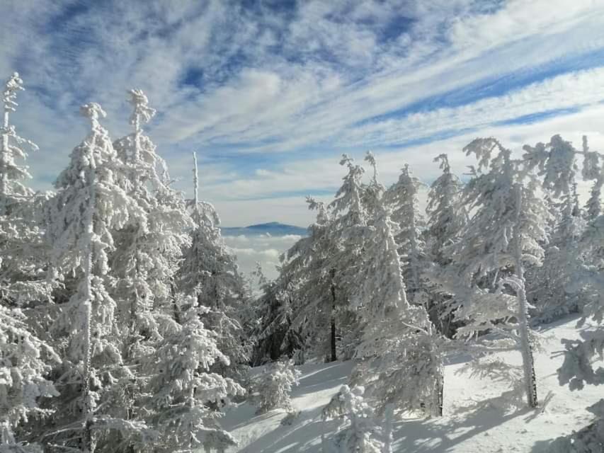 Winterfell Korbielow - Dom Z Basenem Sezonowym Lipiec-Sierpien Exterior photo
